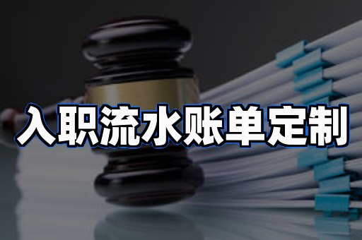 个人银行流水制作